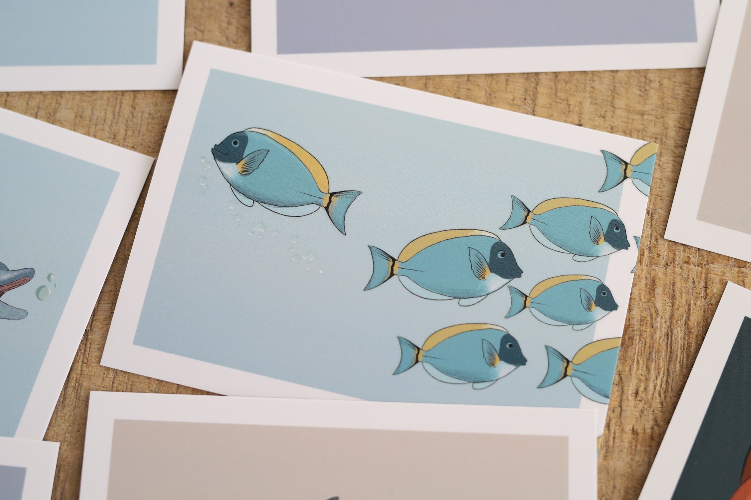 Das Foto zeigt Gefühlskarten die auf einer Tischfläche ausgelegt sind. Im Zentrum werden auf einer Karten Fische abgebildet. Während der Schwarm nach rechts schwimmt, entfernt sich ein Fisch alleine nach links.