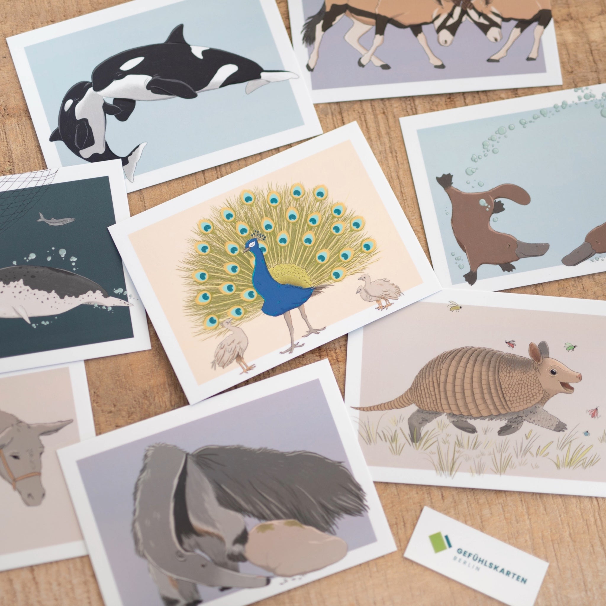 Tierkarten zum Thema Gefühle - Set 4