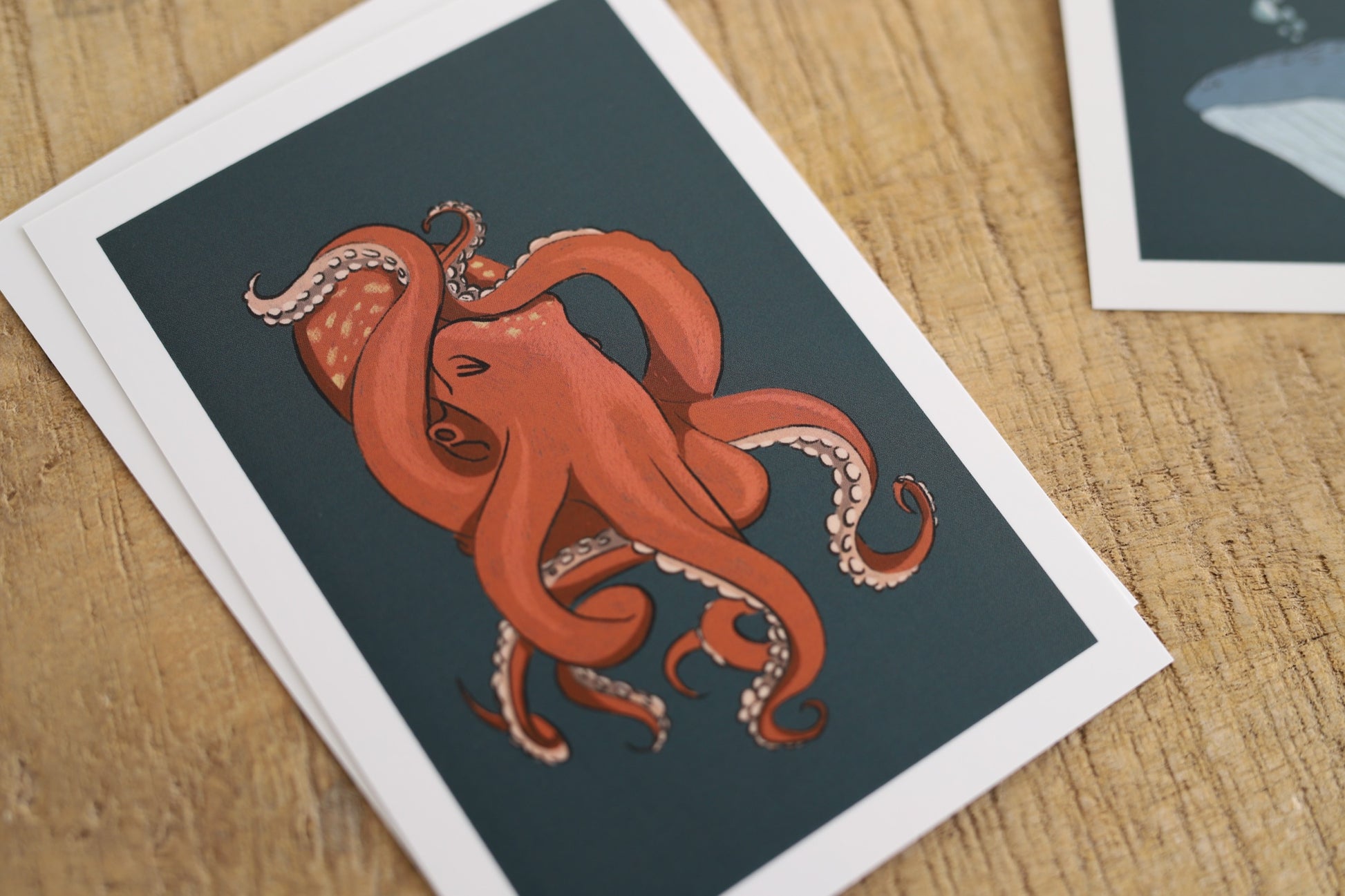 Das Bild zeigt ein Foto von einer Karte die einen roten Oktopus der zwei Arme über den Kopf zusammenschlägt und die Augen zukneift.