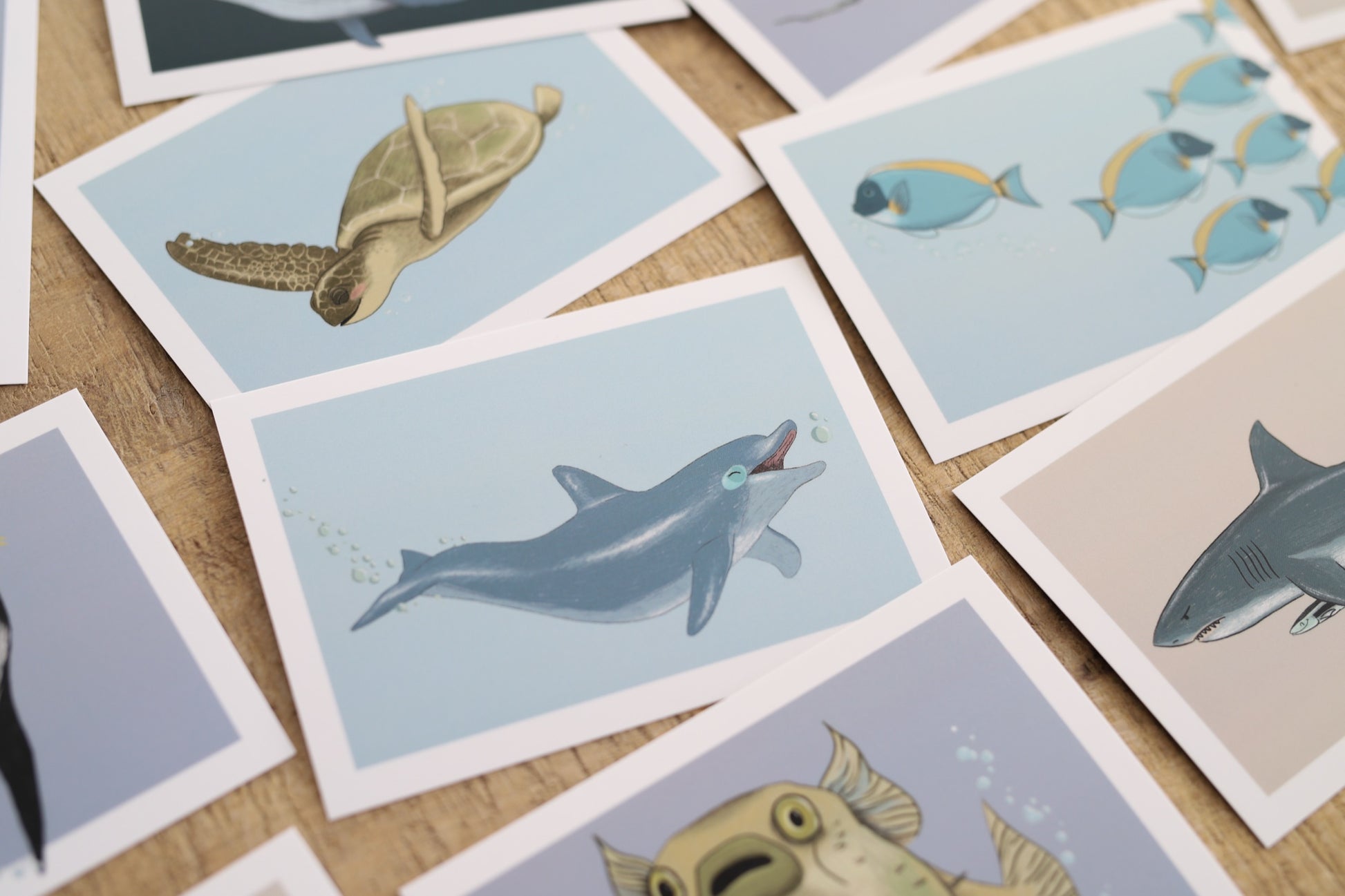 Das Foto zeigt mehrere Karten auf den Tiermotive zu sehen sind. Die Karten sind teilweise übereinander gelagert. Im Zentrum ist ein fröhlicher Delfin zu sehen.
