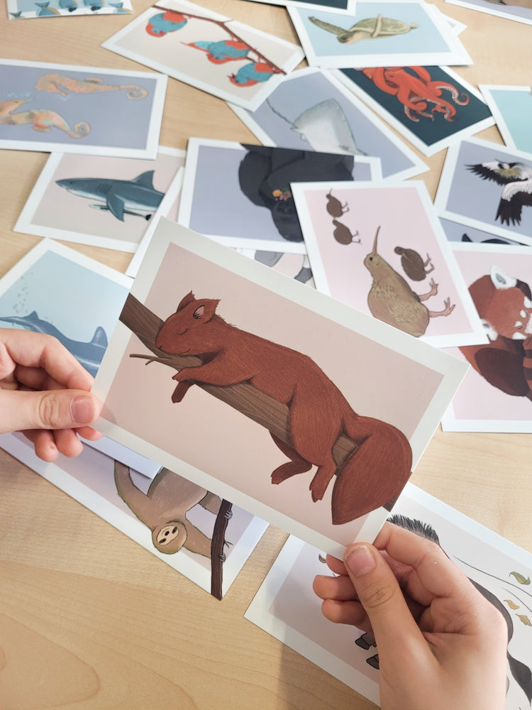 Das Bild zeigt zwei Hände die eine Karte in der Hand halten. Auf der Karte ist ein schlafendes Eichhörnchen zu sehen, welches auf einem Ast liegt. Im Hintergrund sind weitere Karten mit Tiermotiven zu sehen.